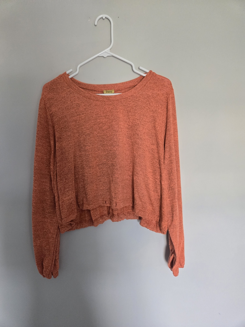 Daisy Rust Orange Cropped Pullover Sweatshirt